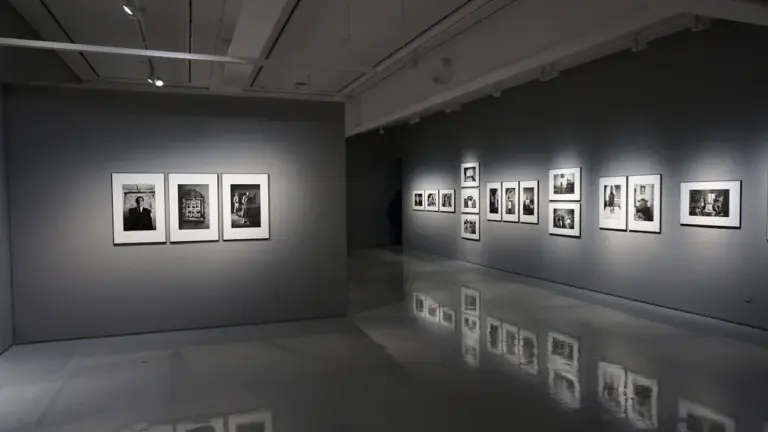 All Shades of Brown: free in Leicester until 29 August