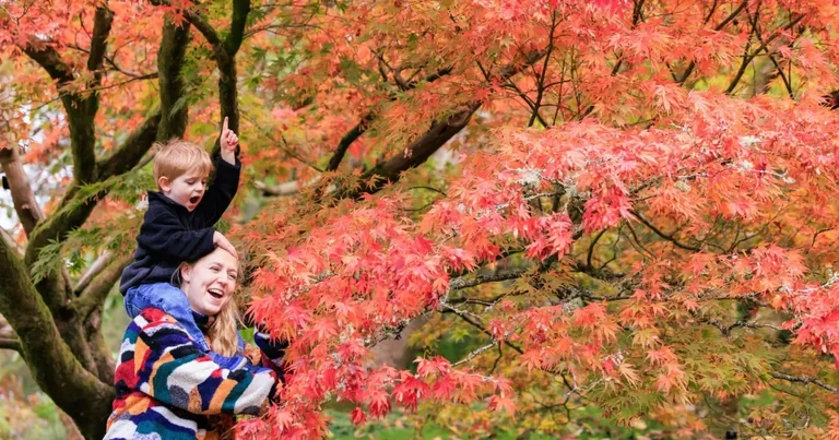 Autumn at Wakehurst: Your guide to the 2026 season events