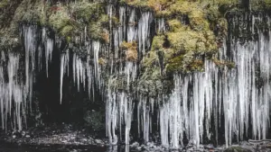Long icicles hanging from a mossy rock face above a dark water stream.