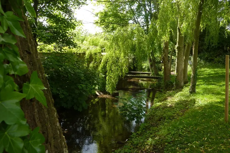 England’s Rivers: New Data Reveals Which Waterways Are Struggling