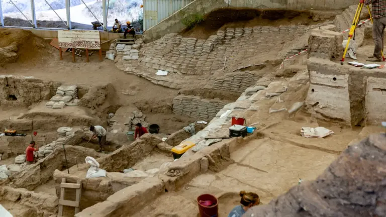 Festival of Leicestershire & Rutland Archaeology: free in Leicester