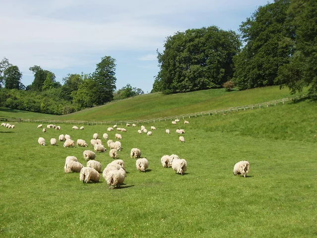 Blenheim Palace park