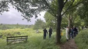 A group of people standing on a dirt path overlooking a green meadow.