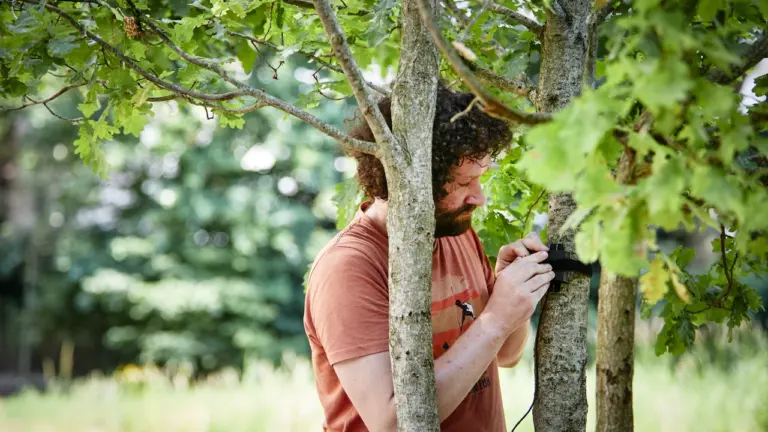 London’s woodland soils stayed 10°C cooler in heatwave