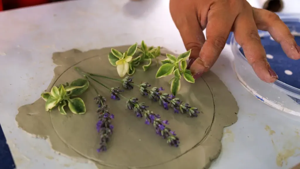 Nature Impressions brings two drop-in days to Cambridge