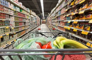 New Rules Proposed for Aldi and Lidl to Boost Local Shop Choice