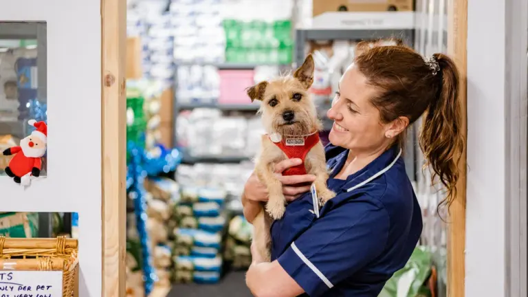 Pets at Home Summer Appeal: donate across UK from 10 August