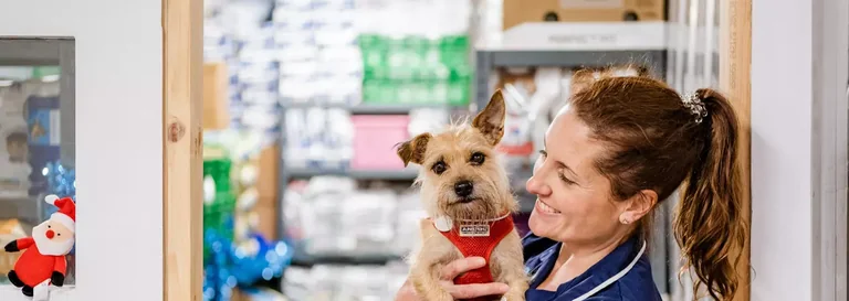 Pets at Home Summer Appeal: donate across UK from 10 August