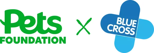 Pets at Home Summer Appeal: donate across UK from 10 August