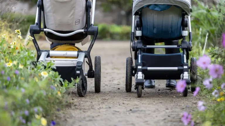 Pushabout Clumber: Free monthly walk in Nottinghamshire