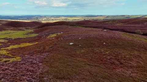 Rothbury Estate faces a £9m race against time