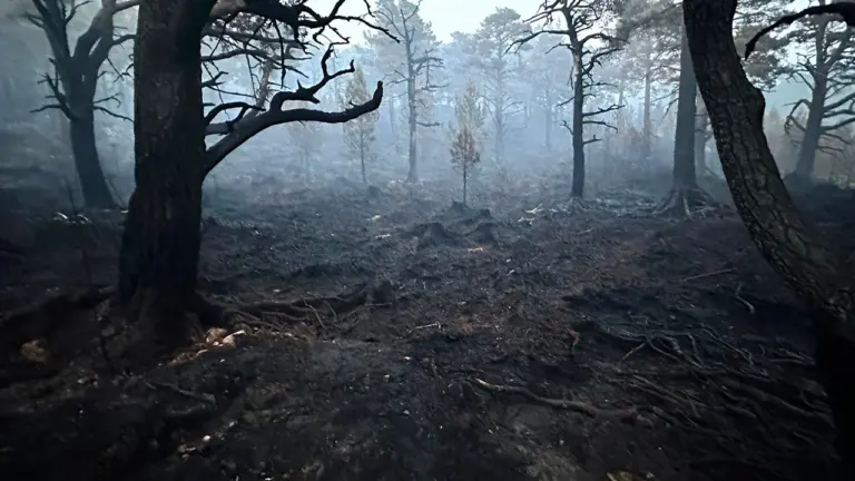 Scotland’s wildfire warning: act before smoke appears