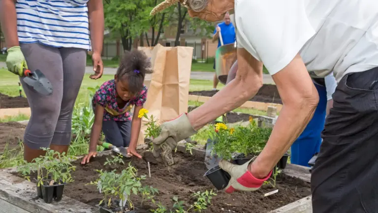 Shrewsbury garden needs leaders by 5 September