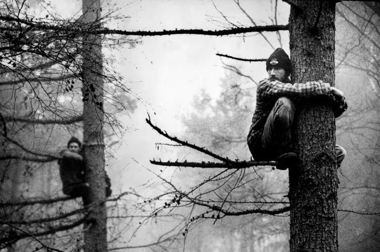 Steve McQueen’s Protest Exhibition Opens at Leeds Art Gallery: what residents need to know
