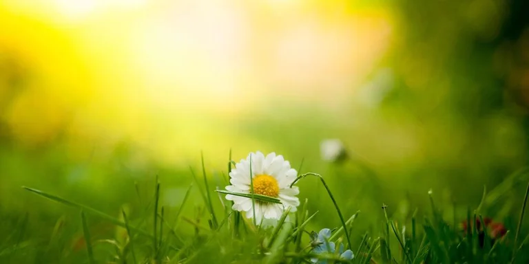 UK heatwave could bring 36°C by Thursday