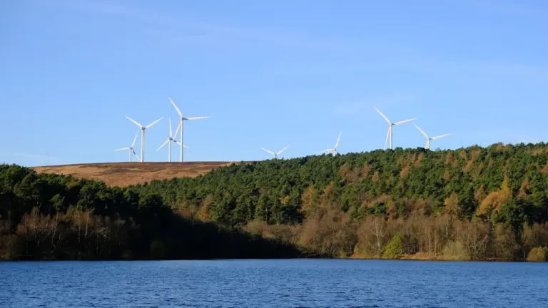 UK Nature Charities Challenge Kemi Badenoch’s Net Zero Stance