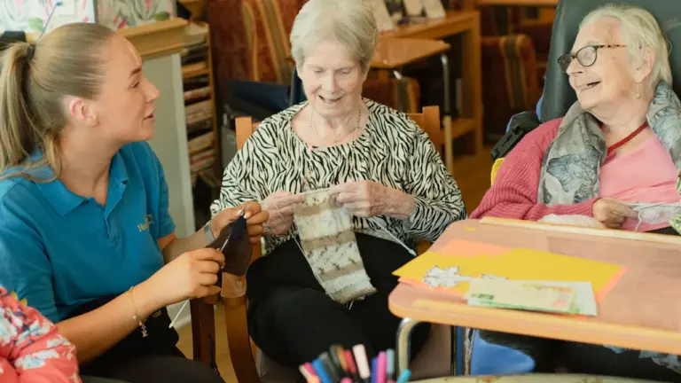 Cardiff care home plans face scrutiny on 14 September