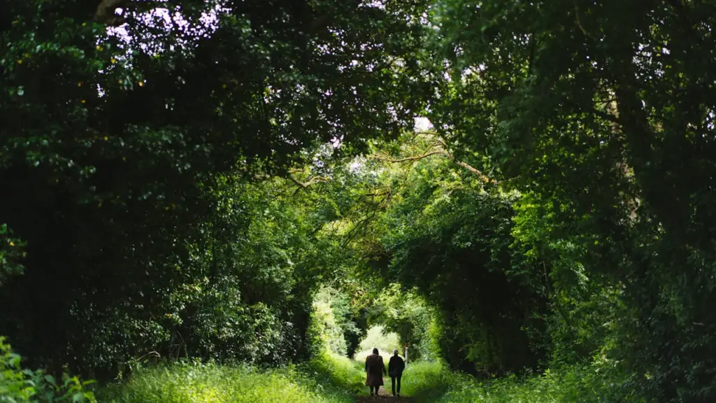 Two people walking down a lush, tree-lined dirt path in the English countryside.