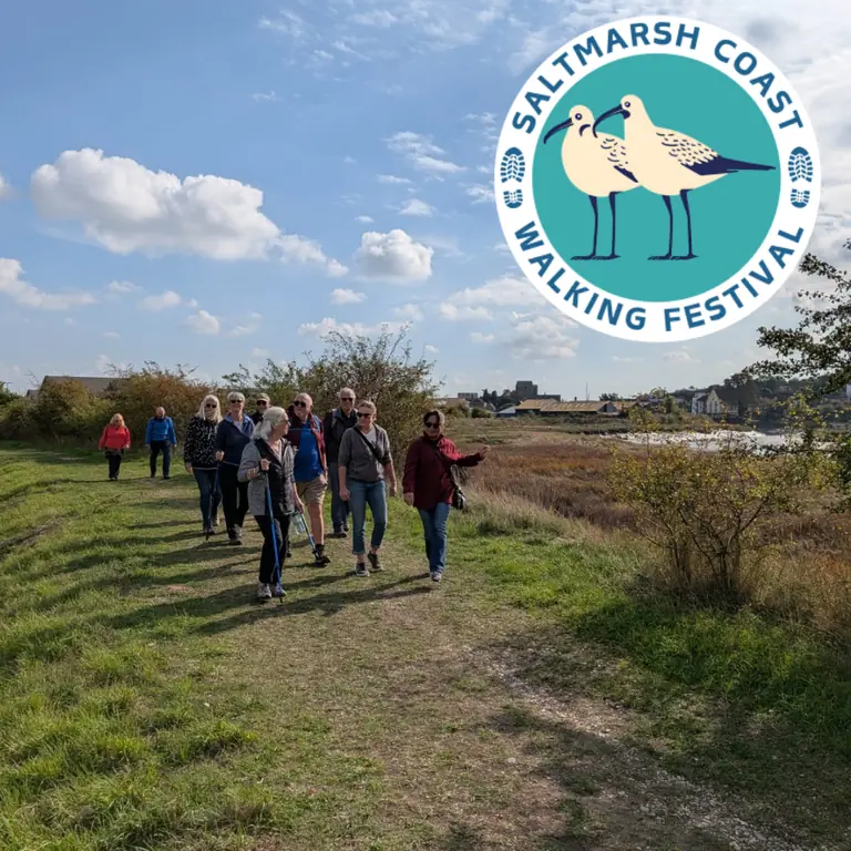 Explore the Saltmarsh Coast: 42 Free Guided Walks Return for 2026