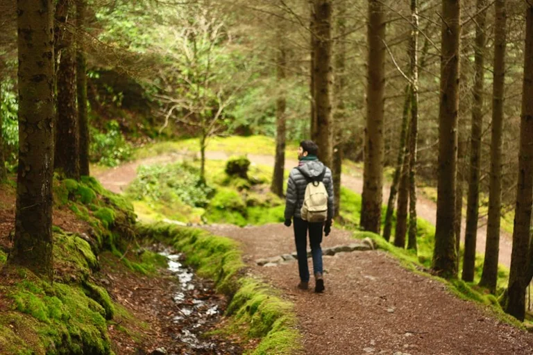 Explore the Saltmarsh Coast: 42 Free Guided Walks Return for 2026