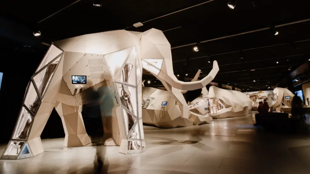 A modern museum exhibit featuring large, geometric white models of prehistoric animals with fossil displays.