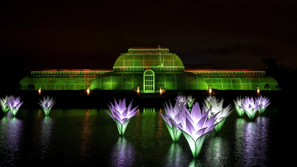 The Palm House at Kew Gardens illuminated with magical lights at night.
