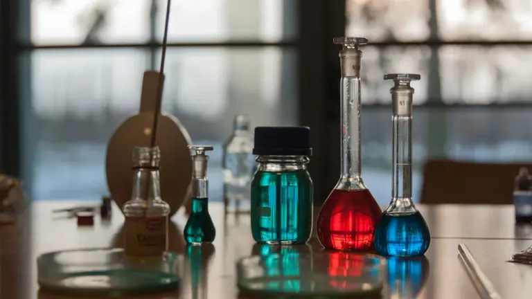 How to Join the FSA’s Scientific Advisory Committees in 2026