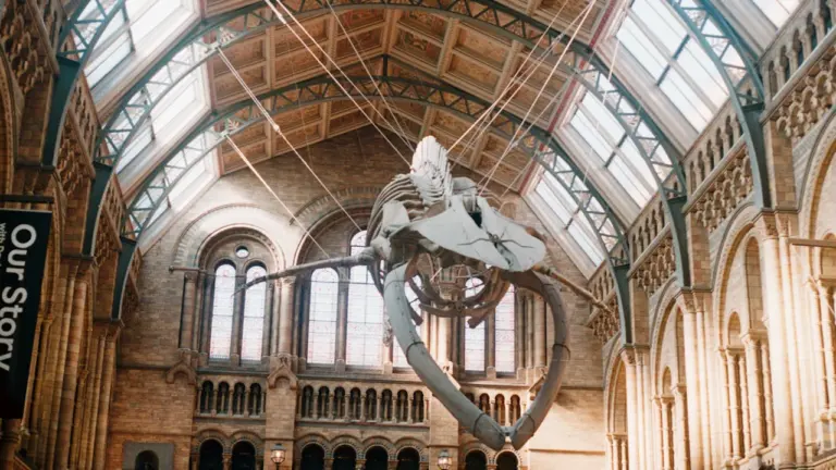Leeds Discovery Centre tours: fans, flirtation and donations