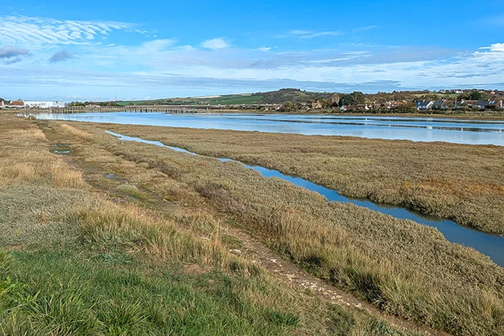 River Adur recovery could reshape habitats near Shoreham